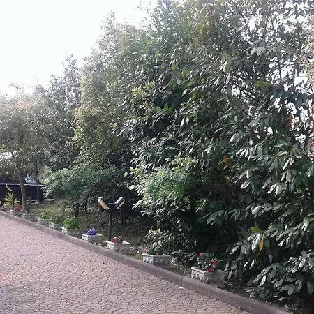 Le Palme Bed & Breakfast Chieti