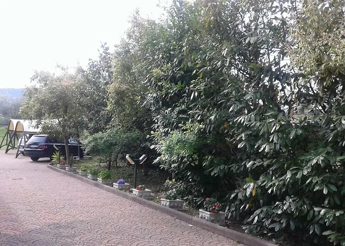 Le Palme Bed & Breakfast Chieti