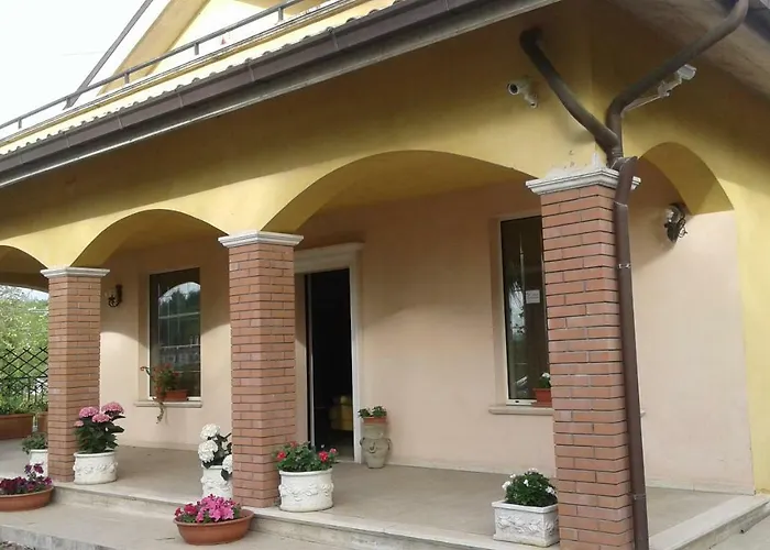 Le Palme キエーティ